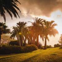 Lesen LED Bilder Bewertungen